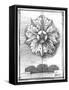 Non-Embld. Decorative Ornament II-Ethan Harper-Framed Stretched Canvas