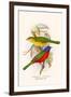 Nonpareil Bunting-F.w. Frohawk-Framed Art Print