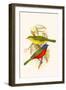 Nonpareil Bunting-F.w. Frohawk-Framed Art Print