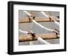 Noodles Drying in the Sun, Hsipaw, Myanmar-Jay Sturdevant-Framed Photographic Print