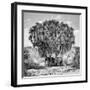 Noon Meeting-Marcel Rebro-Framed Giclee Print