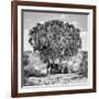 Noon Meeting-Marcel Rebro-Framed Giclee Print