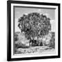 Noon Meeting-Marcel Rebro-Framed Giclee Print