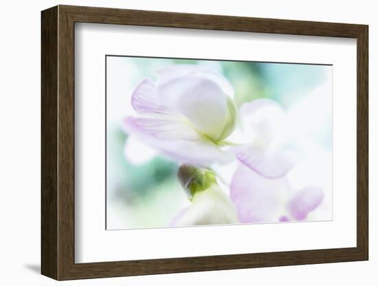 Noonday Dreams - Breath of Light-Jacob Berghoef-Framed Photographic Print