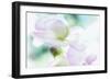 Noonday Dreams - Breath of Light-Jacob Berghoef-Framed Photographic Print