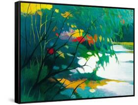 Noonday Dreams-Tadashi Asoma-Framed Stretched Canvas