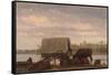 Nooning on the Platte, C.1859-Albert Bierstadt-Framed Stretched Canvas