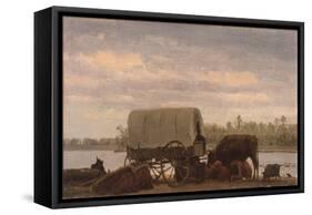 Nooning on the Platte, C.1859-Albert Bierstadt-Framed Stretched Canvas