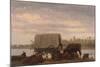 Nooning on the Platte, C.1859-Albert Bierstadt-Mounted Giclee Print