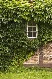 Farmhouse, Facade, Ivy Covered, Detail-Nora Frei-Photographic Print