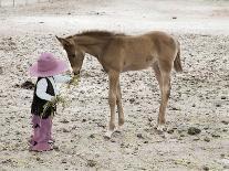 Child in Western Wear Feeding a Pony-Nora Hernandez-Giclee Print