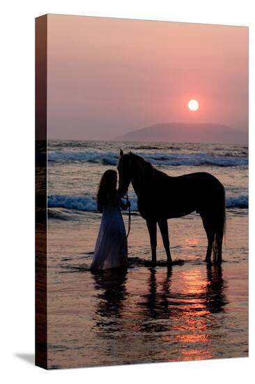 Stretched Canvas Print, , large
