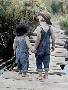 Laminate