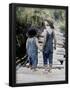 Essential Black
