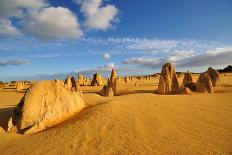 The Pinnacle Desert, Western Australia-NoraC-Laminated Photographic Print