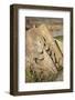 Noravank Monastery, Noravank Canyon, Armenia, Central Asia, Asia-Jane Sweeney-Framed Photographic Print