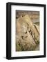 Noravank Monastery, Noravank Canyon, Armenia, Central Asia, Asia-Jane Sweeney-Framed Photographic Print