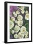 Noray painterly roses-Rosana Laiz Garcia-Framed Giclee Print