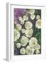 Noray painterly roses-Rosana Laiz Garcia-Framed Giclee Print