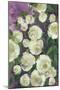 Noray painterly roses-Rosana Laiz Garcia-Mounted Giclee Print