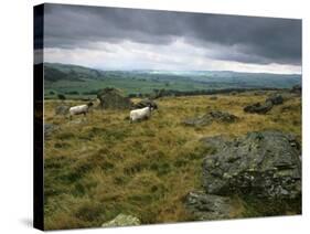 Norber Erratics Near Austwick, Yorkshire Dales National Park, Yorkshire, England, UK-Patrick Dieudonne-Stretched Canvas