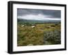 Norber Erratics Near Austwick, Yorkshire Dales National Park, Yorkshire, England, UK-Patrick Dieudonne-Framed Photographic Print