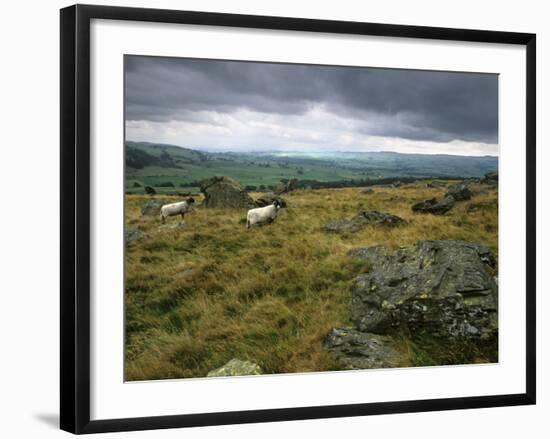 Norber Erratics Near Austwick, Yorkshire Dales National Park, Yorkshire, England, UK-Patrick Dieudonne-Framed Photographic Print