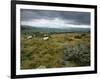 Norber Erratics Near Austwick, Yorkshire Dales National Park, Yorkshire, England, UK-Patrick Dieudonne-Framed Photographic Print