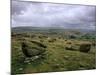 Norber Erratics Near Austwick, Yorkshire Dales National Park, Yorkshire, England, UK-Patrick Dieudonne-Mounted Premium Photographic Print