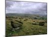 Norber Erratics Near Austwick, Yorkshire Dales National Park, Yorkshire, England, UK-Patrick Dieudonne-Mounted Photographic Print