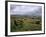 Norber Erratics Near Austwick, Yorkshire Dales National Park, Yorkshire, England, UK-Patrick Dieudonne-Framed Photographic Print