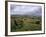 Norber Erratics Near Austwick, Yorkshire Dales National Park, Yorkshire, England, UK-Patrick Dieudonne-Framed Photographic Print