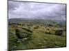 Norber Erratics Near Austwick, Yorkshire Dales National Park, Yorkshire, England, UK-Patrick Dieudonne-Mounted Photographic Print