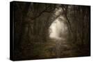 Stretched Canvas