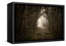 Canvas Black