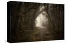 Stretched Canvas