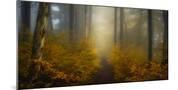 Wood Mount