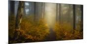 Wood Mount