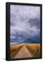 Essential Black