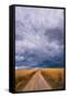 Canvas Black