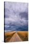 Stretched Canvas