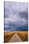 Stretched Canvas