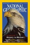 Cover of the December, 2000 National Geographic Magazine-Norbert Rosing-Laminated Photographic Print