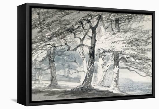 Norbury Park, Surrey-J. M. W. Turner-Framed Stretched Canvas