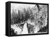 Nordal Kaldahl of Canada Won the Northwest Ski Jumping Championship, at Big Hill, Cascade Mountains-null-Framed Stretched Canvas