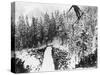 Nordal Kaldahl of Canada Won the Northwest Ski Jumping Championship, at Big Hill, Cascade Mountains-null-Stretched Canvas