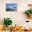 Nordenskjold Glacier and Allardyce Mountain Range-Paul Souders-Photographic Print displayed on a wall