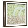 Nordic Light I-Sarah Medway-Framed Giclee Print