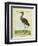 Nordmann's Greenshank-Georges-Louis Buffon-Framed Giclee Print