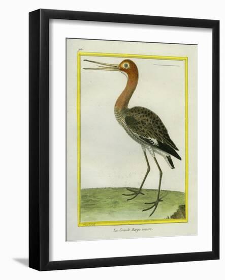 Nordmann's Greenshank-Georges-Louis Buffon-Framed Giclee Print